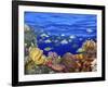 School of Fish Swimming Near a Reef-null-Framed Photographic Print