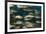 School of Smallmouth Grunt (Haemulon Chrysargyreum).-Stephen Frink-Framed Photographic Print