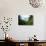 School Of Young European Perch (Perca Fluviatilis) In Altausseer Lake, Austria, July-Bert Willaert-Photographic Print displayed on a wall