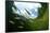 School Of Young European Perch (Perca Fluviatilis) In Altausseer Lake, Austria, July-Bert Willaert-Framed Photographic Print