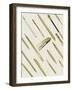 School Study IV-Thomas Brown-Framed Photographic Print