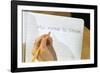 Schoolboy Writing Name in Notebook-William P. Gottlieb-Framed Photographic Print