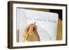 Schoolboy Writing Name in Notebook-William P. Gottlieb-Framed Photographic Print