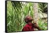 Schoolchild Embracing Tree Trunk and Looking Up, Bujumbura, Burundi-Anthony Asael-Framed Stretched Canvas