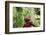 Schoolchild Embracing Tree Trunk and Looking Up, Bujumbura, Burundi-Anthony Asael-Framed Photographic Print