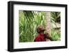 Schoolchild Embracing Tree Trunk and Looking Up, Bujumbura, Burundi-Anthony Asael-Framed Photographic Print