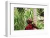 Schoolchild Embracing Tree Trunk and Looking Up, Bujumbura, Burundi-Anthony Asael-Framed Photographic Print