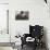 Schoolchild Placing Books in Desk-William P. Gottlieb-Photographic Print displayed on a wall