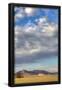 Essential Black