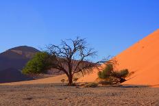 Red Dunes of Sossusvlei-schoolgirl-Laminated Photographic Print