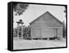 Schoolhouse in Alabama, c.1936-Walker Evans-Framed Stretched Canvas