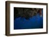 Schooling Anthias Fish under a Coral Ledge in Beqa Lagoon, Fiji-Stocktrek Images-Framed Photographic Print