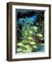 Schooling Bluestriped Grunts, Bahamas, Caribbean-Stuart Westmoreland-Framed Photographic Print