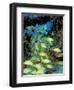 Schooling Bluestriped Grunts, Bahamas, Caribbean-Stuart Westmoreland-Framed Photographic Print