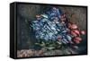 Schooling Fish Swim in a Cavern Near Cocos Island, Costa Rica-Stocktrek Images-Framed Stretched Canvas