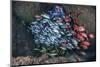 Schooling Fish Swim in a Cavern Near Cocos Island, Costa Rica-Stocktrek Images-Mounted Photographic Print