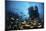 Schooling Fish Swim over a Rocky Reef Near Cocos Island, Costa Rica-Stocktrek Images-Mounted Photographic Print