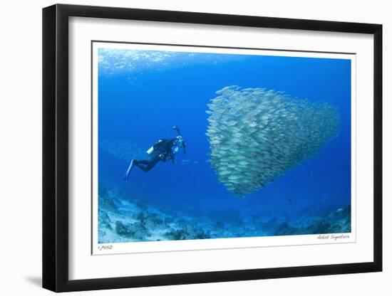 Schooling Ox-eye Scads and Photographer-Jones-Shimlock-Framed Giclee Print