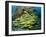 Schooling Sweetlip Fish Swim Past Coral Reef, Raja Ampat, Indonesia-Jones-Shimlock-Framed Photographic Print