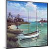 Schooner Bay-Rick Novak-Mounted Art Print