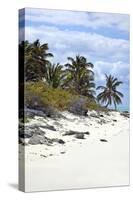 Schooner Cay Coastline-Larry Malvin-Stretched Canvas