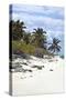 Schooner Cay Coastline-Larry Malvin-Stretched Canvas