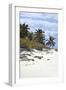 Schooner Cay Coastline-Larry Malvin-Framed Photographic Print