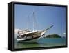 Schooner Cruising Between Different Beaches and Islands around Parati, Rio de Janeiro State, Brazil-Yadid Levy-Framed Stretched Canvas