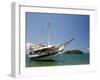 Schooner Cruising Between Different Beaches and Islands around Parati, Rio de Janeiro State, Brazil-Yadid Levy-Framed Photographic Print