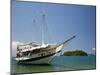 Schooner Cruising Between Different Beaches and Islands around Parati, Rio de Janeiro State, Brazil-Yadid Levy-Mounted Photographic Print