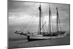 Schooner Great Bear, 1916-Asahel Curtis-Mounted Giclee Print