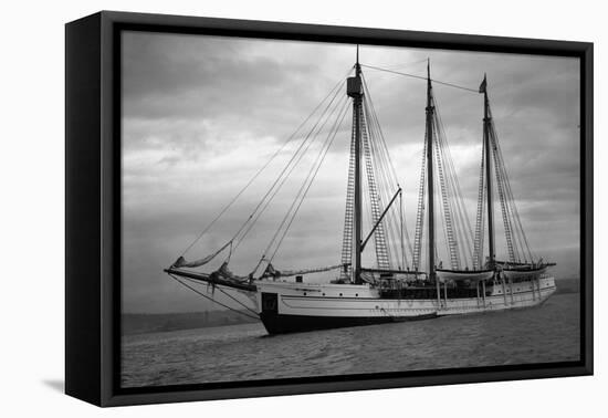 Schooner Great Bear, 1916-Asahel Curtis-Framed Stretched Canvas