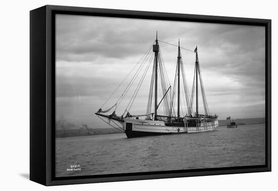 Schooner Great Bear, 1916-Asahel Curtis-Framed Stretched Canvas