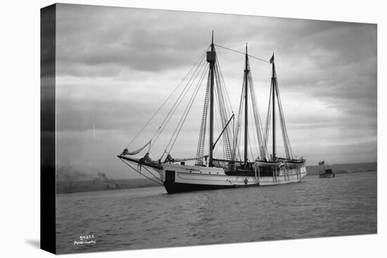 Schooner Great Bear, 1916-Asahel Curtis-Stretched Canvas