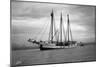 Schooner Great Bear, 1916-Asahel Curtis-Mounted Giclee Print