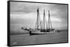 Schooner Great Bear, 1916-Asahel Curtis-Framed Stretched Canvas