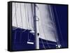 Schooner Sails I-Charlie Carter-Framed Stretched Canvas