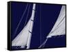 Schooner Sails II-Charlie Carter-Framed Stretched Canvas