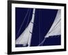 Schooner Sails II-Charlie Carter-Framed Art Print