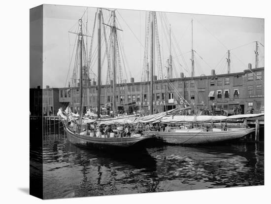 Schooners at the T Wharf-null-Stretched Canvas