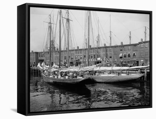 Schooners at the T Wharf-null-Framed Stretched Canvas