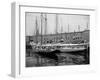 Schooners at the T Wharf-null-Framed Photo