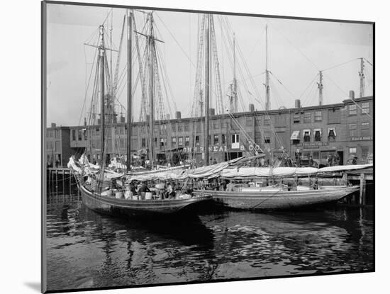 Schooners at the T Wharf-null-Mounted Photo