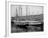 Schooners at the T Wharf-null-Framed Photo