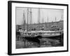 Schooners at the T Wharf-null-Framed Photo