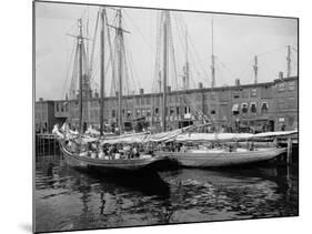 Schooners at the T Wharf-null-Mounted Photo