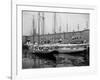 Schooners at the T Wharf-null-Framed Photo