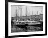 Schooners at the T Wharf-null-Framed Photo