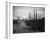 Schooners at the T Wharf-null-Framed Photo