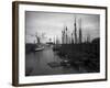Schooners at the T Wharf-null-Framed Photo